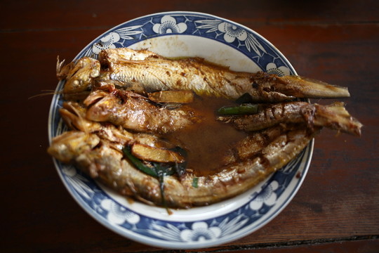 刀魚