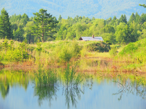 林業(yè)人家小景