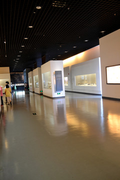 博物館 展館