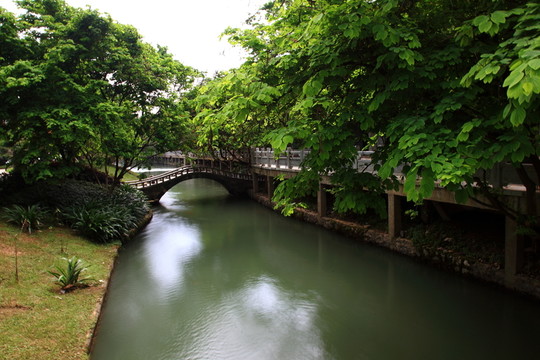 公園小橋