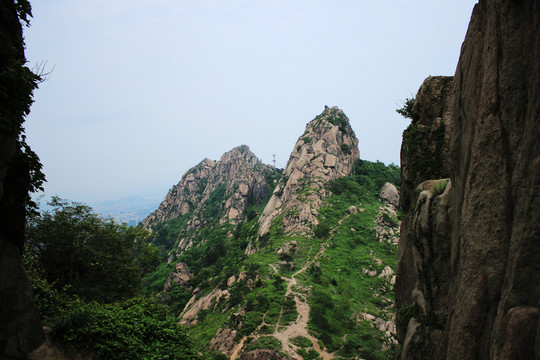 青島浮山