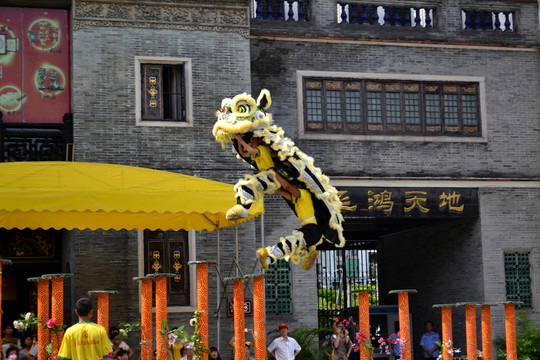 舞獅 南方舞獅 獅子 傳統(tǒng)文化