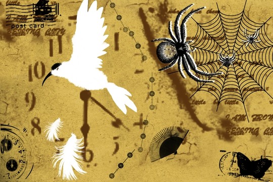 歐美懷舊無框鳥類裝飾畫明信片