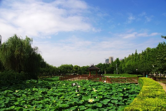 武漢漢陽江灘公園