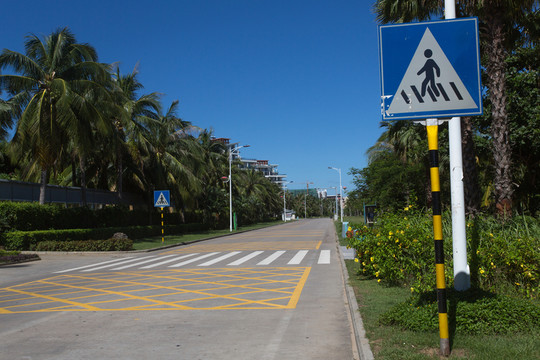 道路