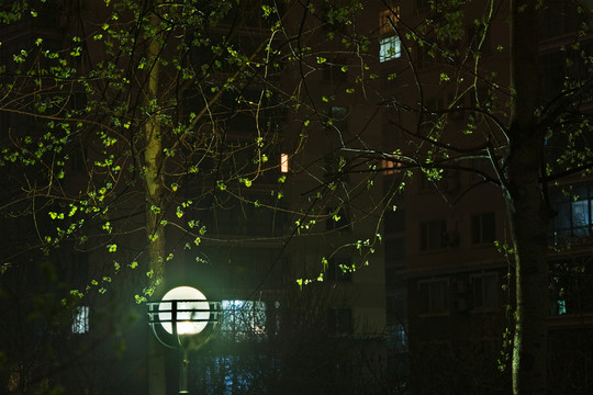 春夜