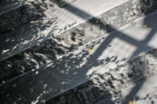 詩(shī)意陽(yáng)光