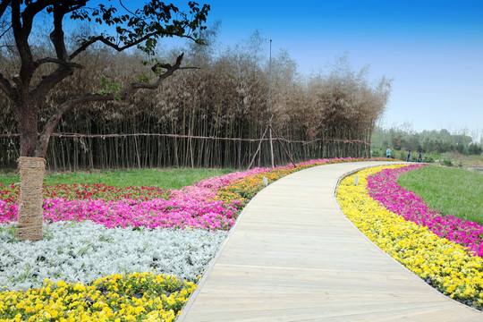 公園