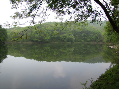 山野鏡湖