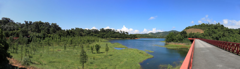 東部華僑城茶溪谷（落羽橋）