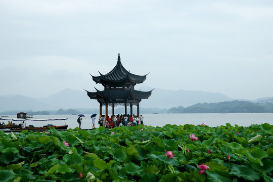 亭子 亭臺 涼亭 湖泊 湖水