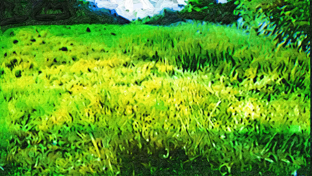 草地