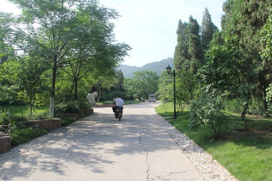 濟(jì)南千佛山林蔭道小路