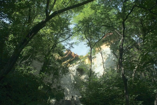 千佛山樹林古剎
