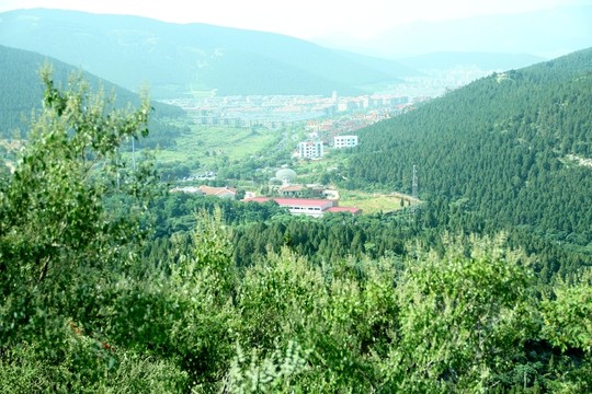 濟南千佛山