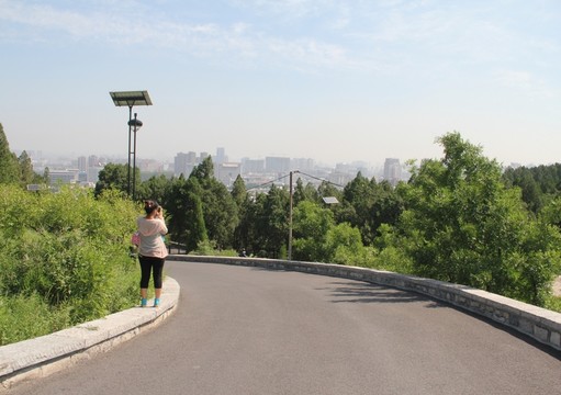 濟(jì)南千佛山林蔭道游人背影