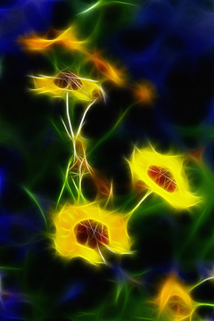 花草