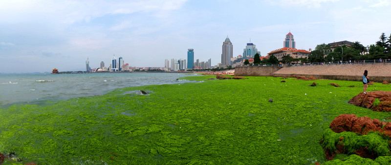 綠色海灘