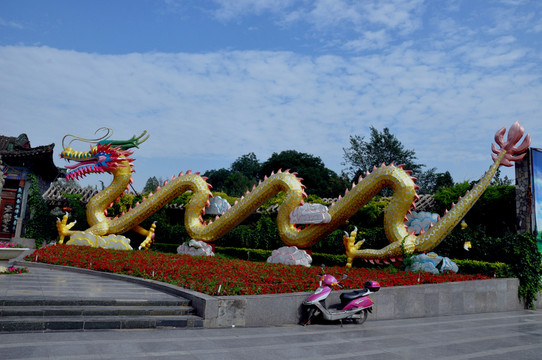 龍