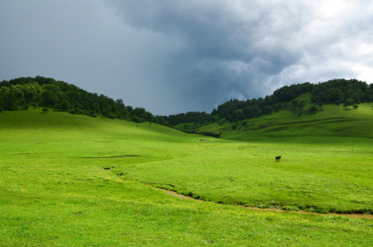 關(guān)山牧場(chǎng)