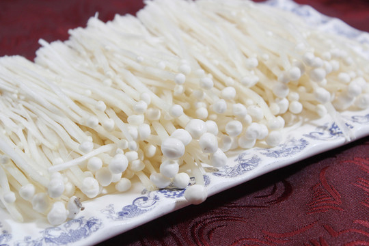 食用菌金針菇