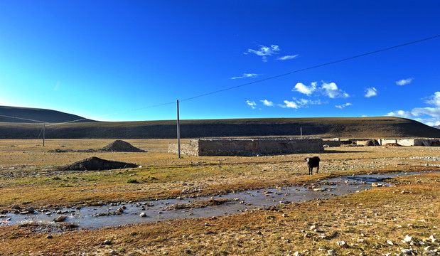 藏區(qū)景色