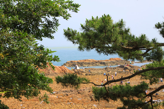 海島