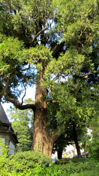 葡萄牙風(fēng)光 歐洲公園