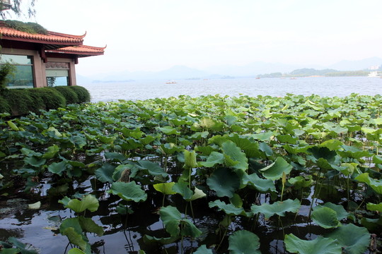 杭州西湖