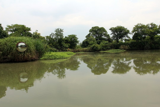 杭州西溪濕地