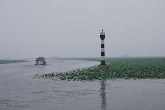 山東 微山湖