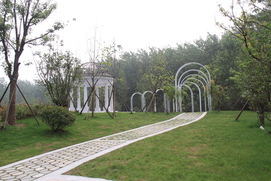 濕地公園