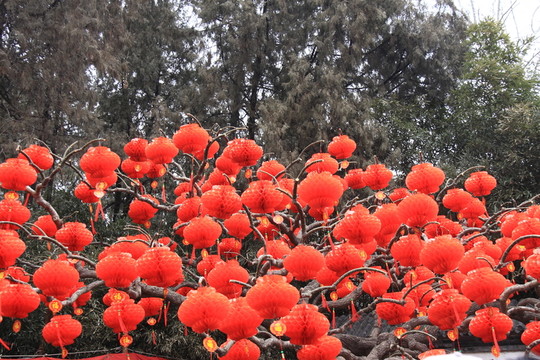 燈籠