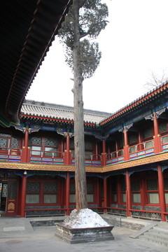 春節(jié)旅游