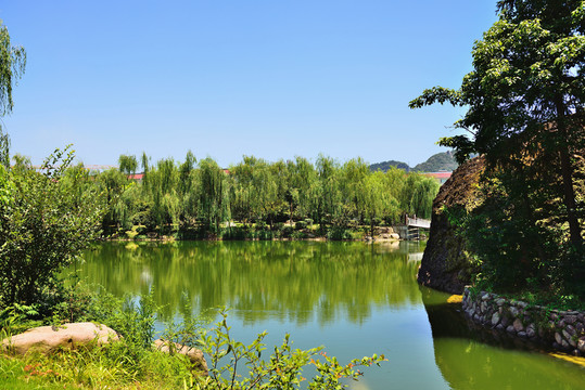 公園