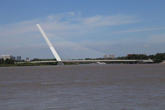 金水河斜拉橋