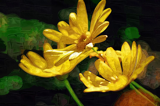 菊 墻畫