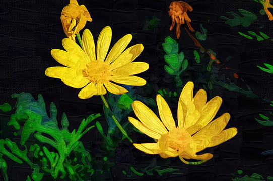 菊花裝飾畫