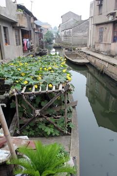 紹興古城