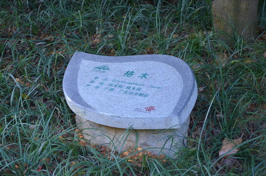 樹葉形說明牌