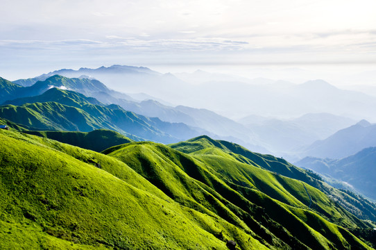 高山草甸