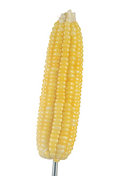 玉米棒
