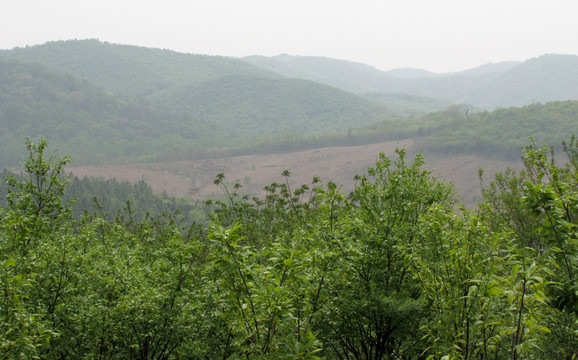 春季青山