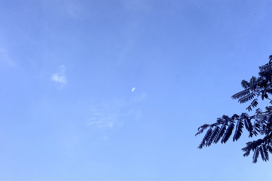 天空 月亮