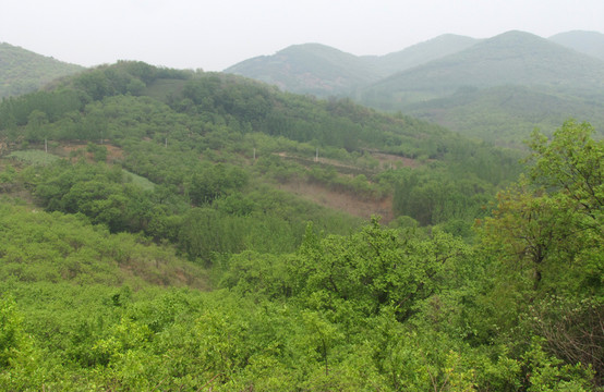 春季山川