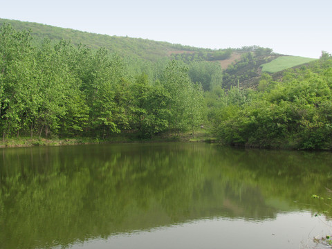 滁州施集青山綠水