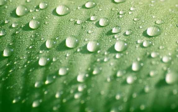 水珠