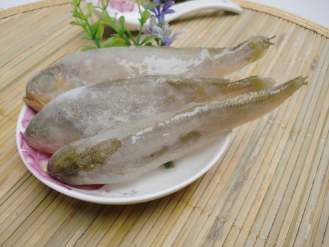 黃花魚