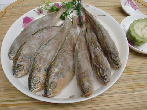 黃花魚(yú)
