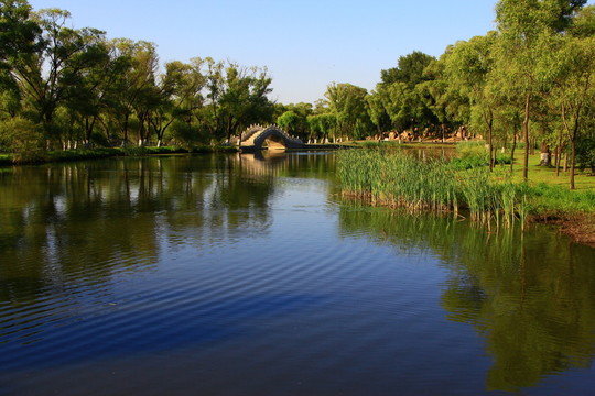 公園